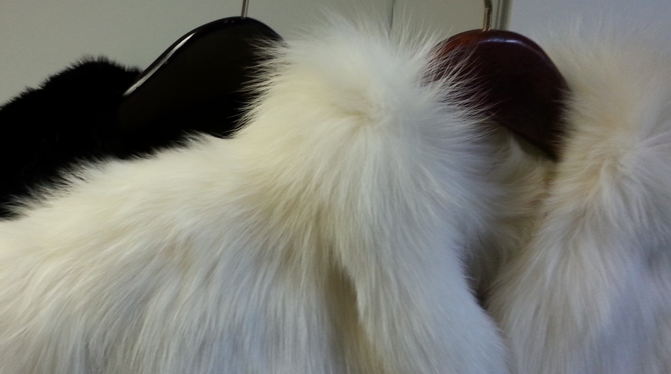 Fur coats for cleaning, glazing and storage